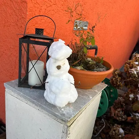 Waldhaus Max Apartamento *