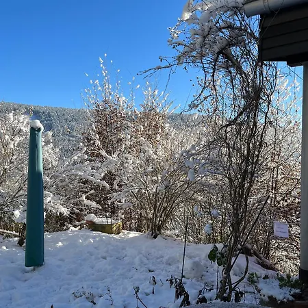 Apartment Waldhaus Max *