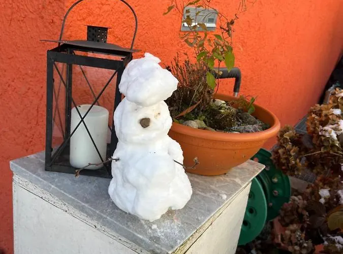 Waldhaus Max Apartment *