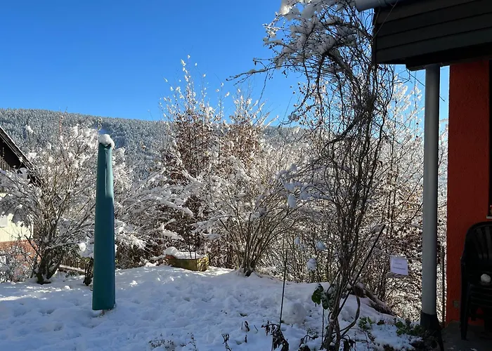 Apartment Waldhaus Max *